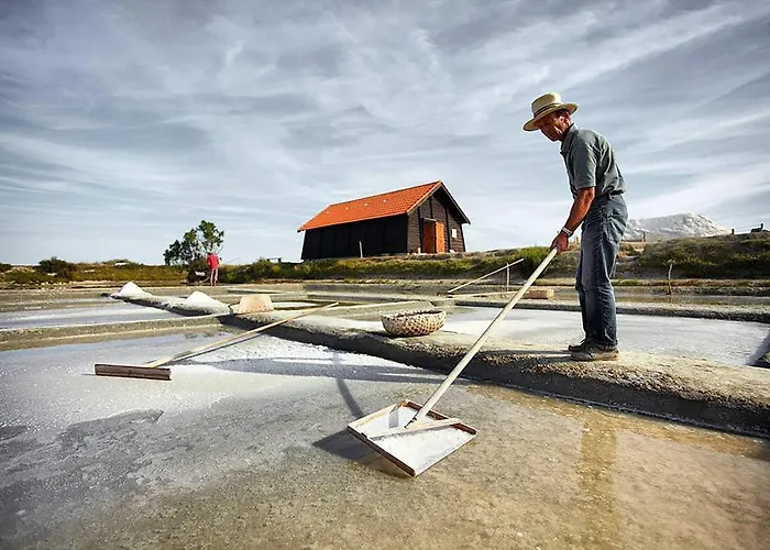 Casa vacanze Maison Pour 8 Personnes Au Cœur De La Sauzaie Et à 600 M De La